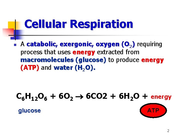 Cellular Respiration n A catabolic, exergonic, oxygen (O 2) requiring process that uses energy