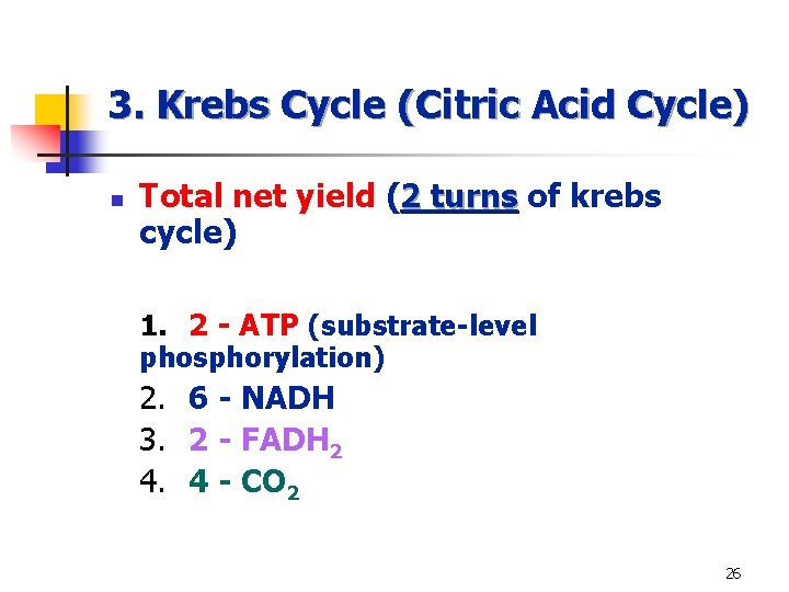 3. Krebs Cycle (Citric Acid Cycle) n Total net yield (2 turns of krebs