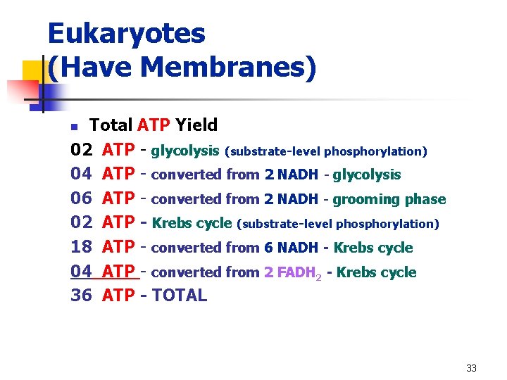 Eukaryotes (Have Membranes) Total ATP Yield 02 ATP - glycolysis (substrate-level phosphorylation) 04 ATP