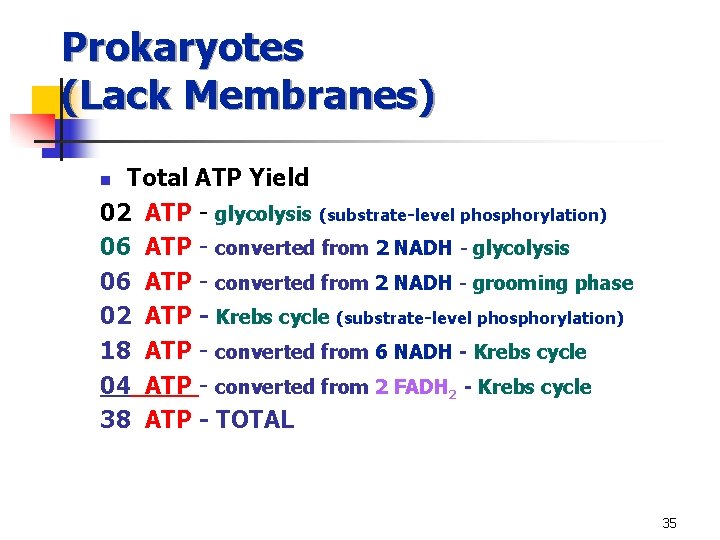 Prokaryotes (Lack Membranes) Total ATP Yield 02 ATP - glycolysis (substrate-level phosphorylation) 06 ATP