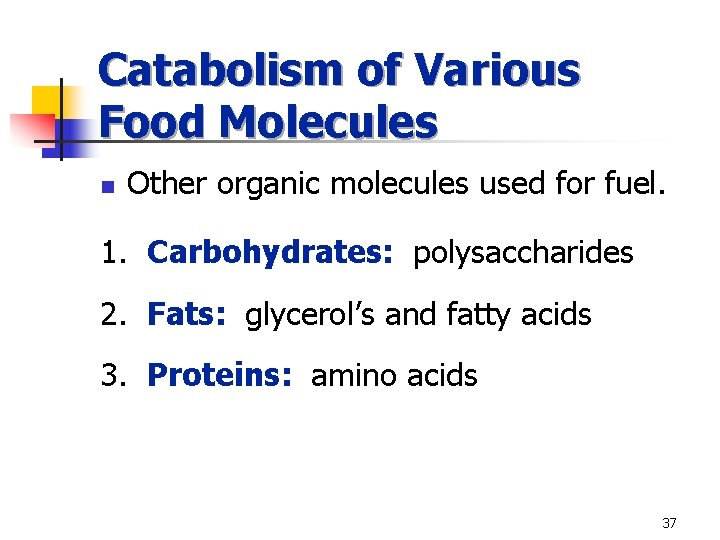 Catabolism of Various Food Molecules n Other organic molecules used for fuel. 1. Carbohydrates: