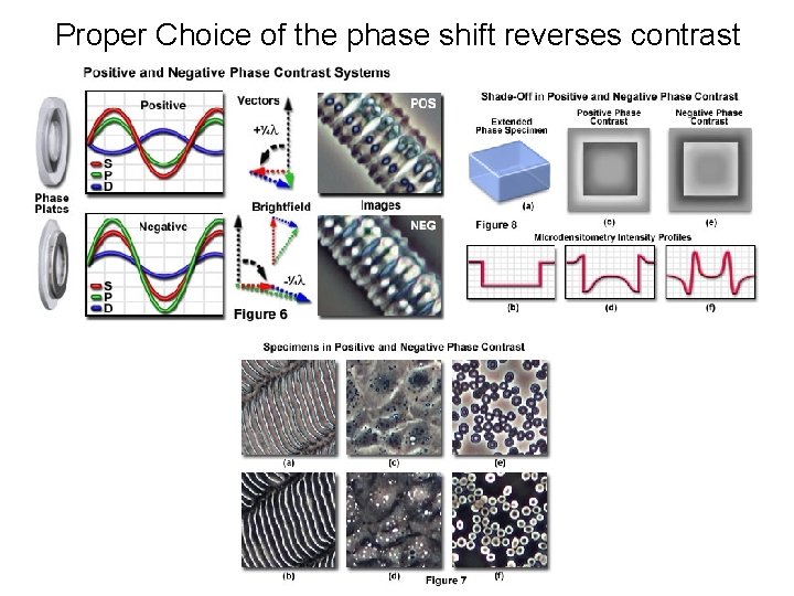 Proper Choice of the phase shift reverses contrast 