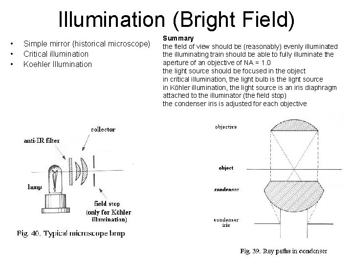 Illumination (Bright Field) • • • Simple mirror (historical microscope) Critical illumination Koehler Illumination