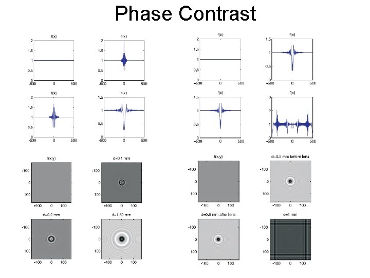 Phase Contrast 