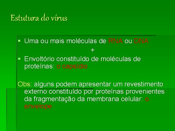 Estutura do vírus § Uma ou mais moléculas de RNA ou DNA + §