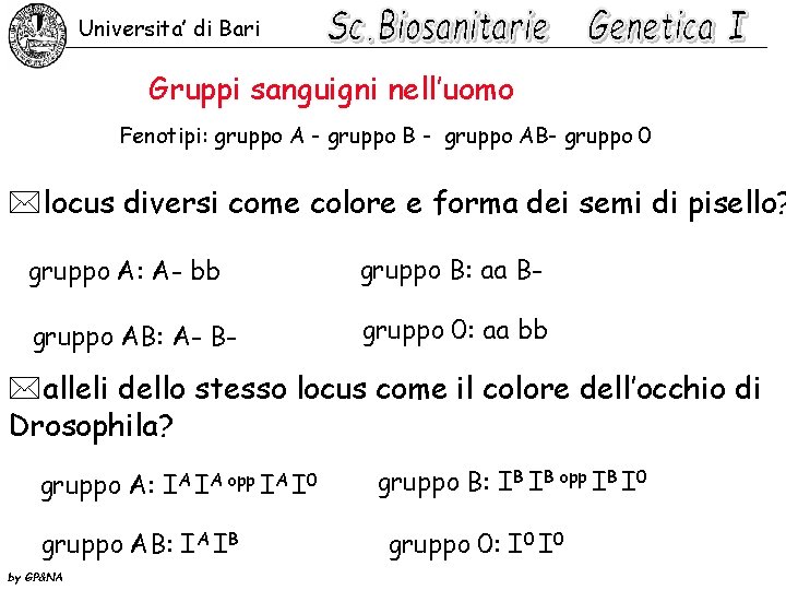 Universita’ di Bari Gruppi sanguigni nell’uomo Fenotipi: gruppo A - gruppo B - gruppo