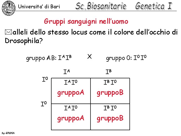 Universita’ di Bari Gruppi sanguigni nell’uomo *alleli dello stesso locus come il colore dell’occhio