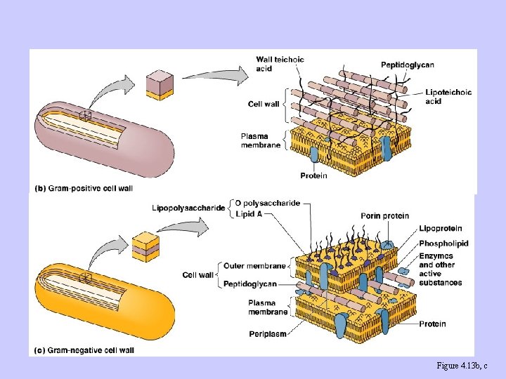 Figure 4. 13 b, c 