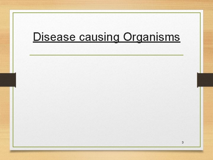 Disease causing Organisms 3 