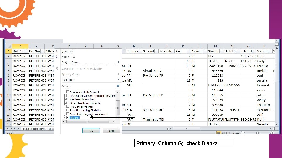 Primary (Column G). check Blanks 