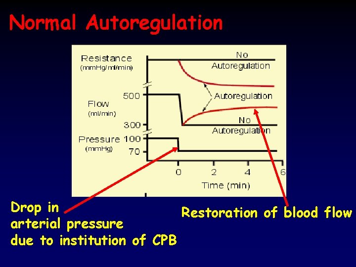 Normal Autoregulation Drop in Restoration of blood flow arterial pressure due to institution of