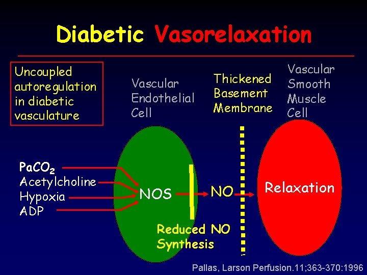 Diabetic Vasorelaxation Uncoupled autoregulation in diabetic vasculature Pa. CO 2 Acetylcholine Hypoxia ADP Vascular