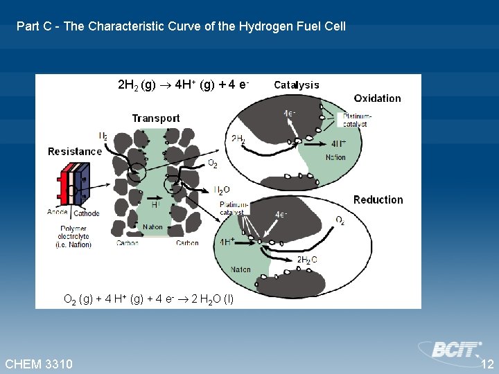 Part C - The Characteristic Curve of the Hydrogen Fuel Cell 2 H 2