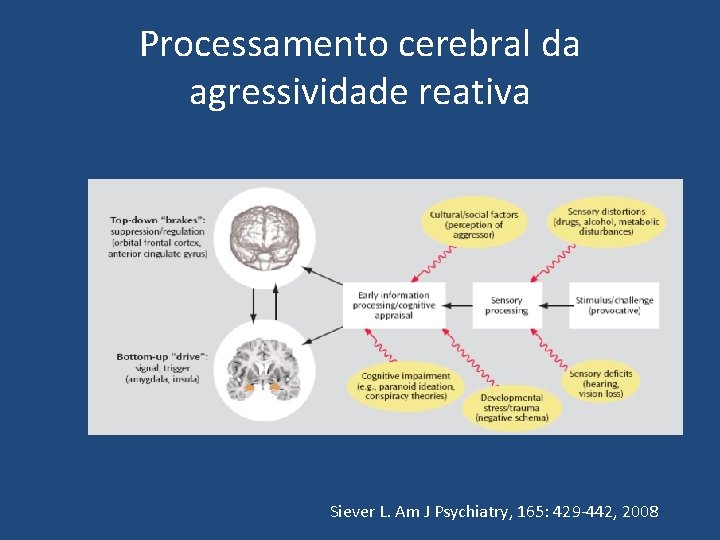 Processamento cerebral da agressividade reativa Siever L. Am J Psychiatry, 165: 429 -442, 2008