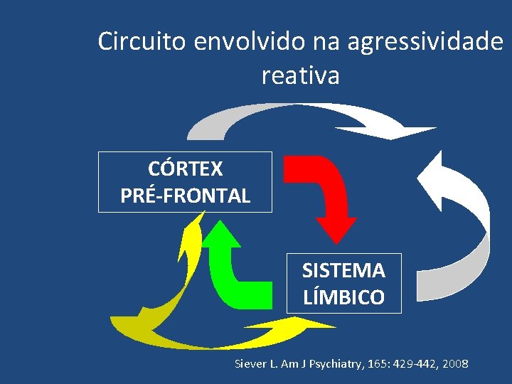 Circuito envolvido na agressividade reativa CÓRTEX PRÉ-FRONTAL SISTEMA LÍMBICO Siever L. Am J Psychiatry,