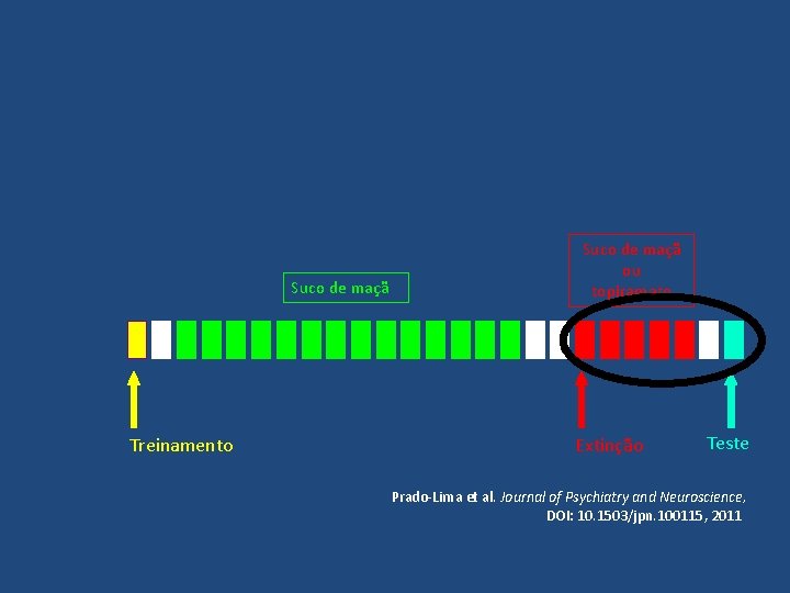 Suco de maçã Treinamento Suco de maçã ou topiramato Extinção Teste Prado-Lima et al.