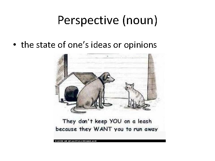 Perspective (noun) • the state of one’s ideas or opinions 