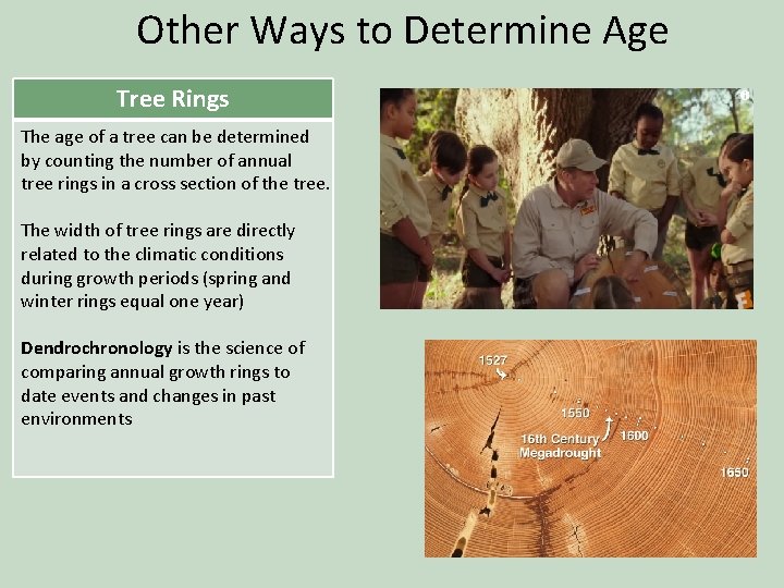 Other Ways to Determine Age Tree Rings The age of a tree can be