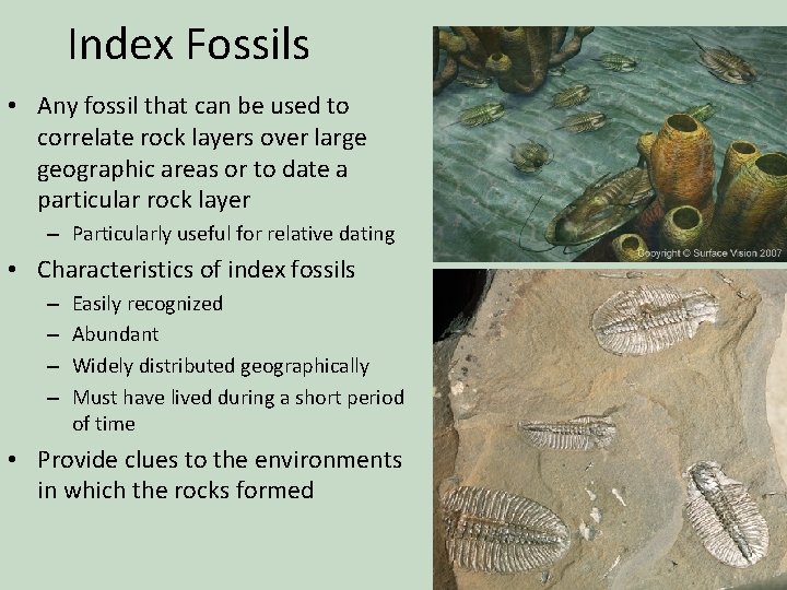 Index Fossils • Any fossil that can be used to correlate rock layers over