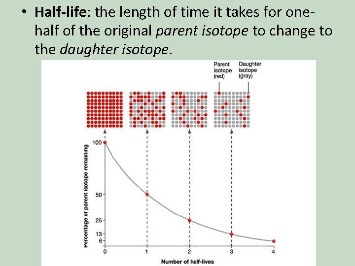  • Half-life: the length of time it takes for onehalf of the original