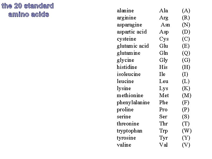 the 20 standard amino acids alanine arginine asparagine aspartic acid cysteine glutamic acid glutamine