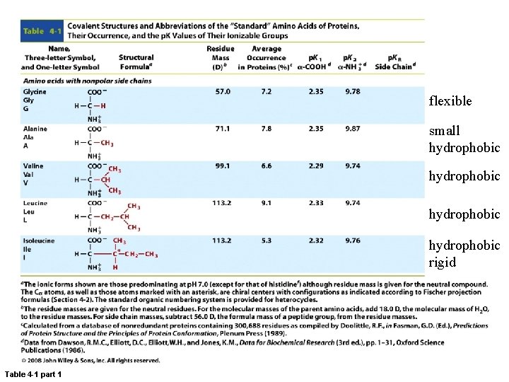 flexible small hydrophobic rigid Table 4 -1 part 1 