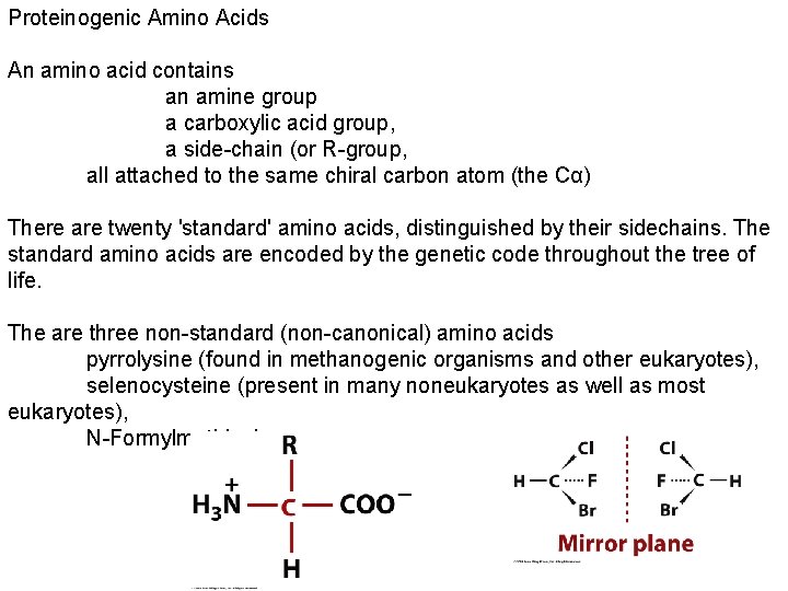 Proteinogenic Amino Acids An amino acid contains an amine group a carboxylic acid group,