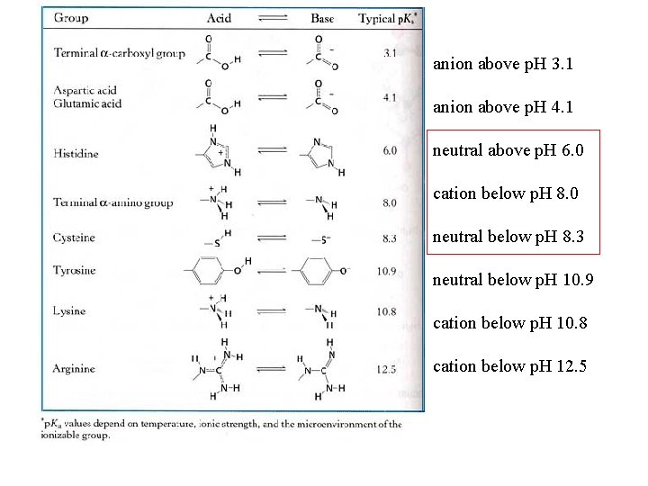 anion above p. H 3. 1 anion above p. H 4. 1 neutral above