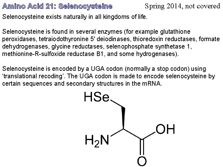 Amino Acid 21: Selenocysteine Spring 2014, not covered Selenocysteine exists naturally in all kingdoms