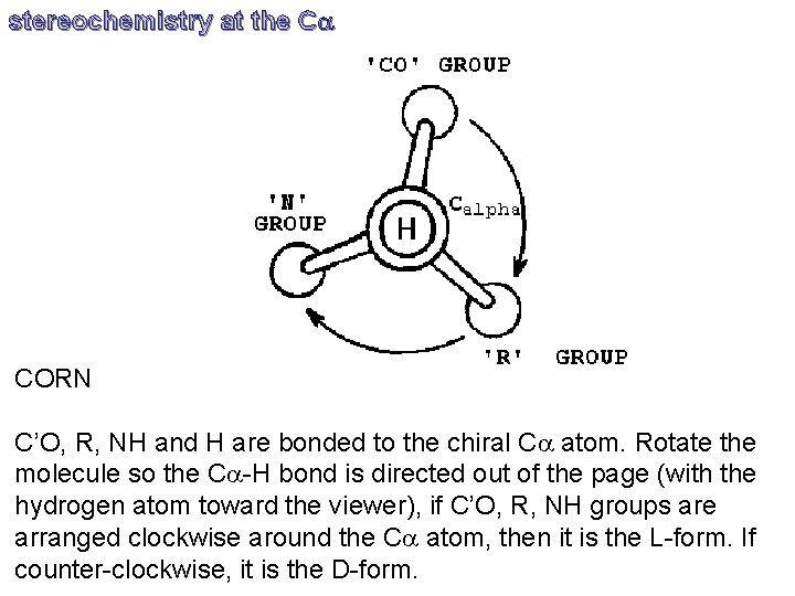 stereochemistry at the Ca CORN C’O, R, NH and H are bonded to the
