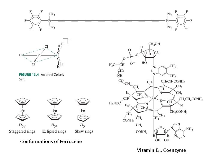 Conformations of Ferrocene Vitamin B 12 Coenzyme 