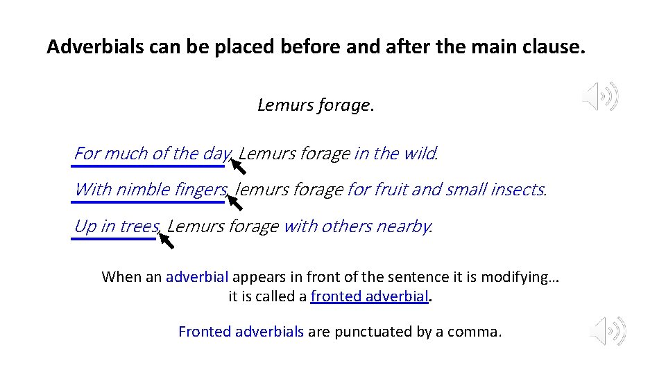 Adverbials can be placed before and after the main clause. Lemurs forage. For much