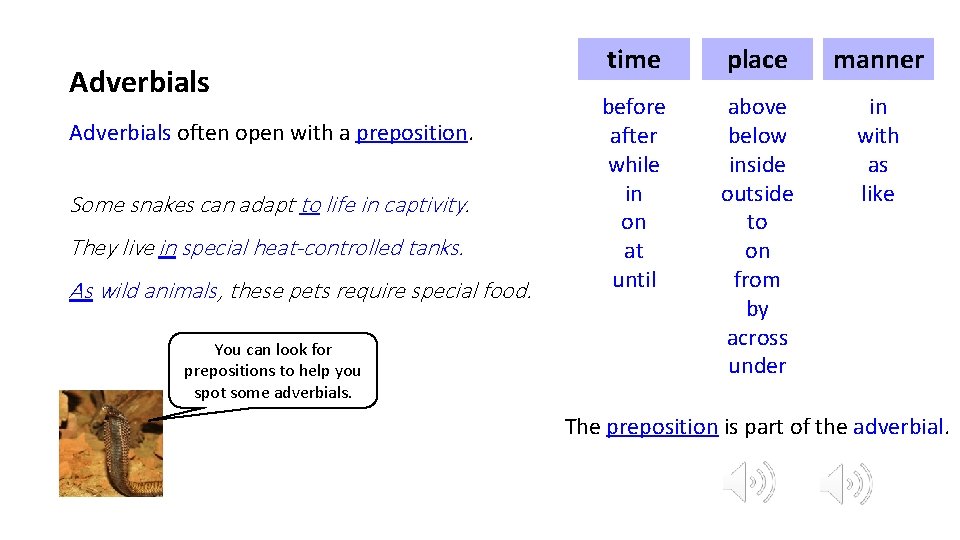 Adverbials often open with a preposition. Some snakes can adapt to life in captivity.