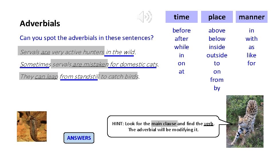 Adverbials Can you spot the adverbials in these sentences? Servals are very active hunters