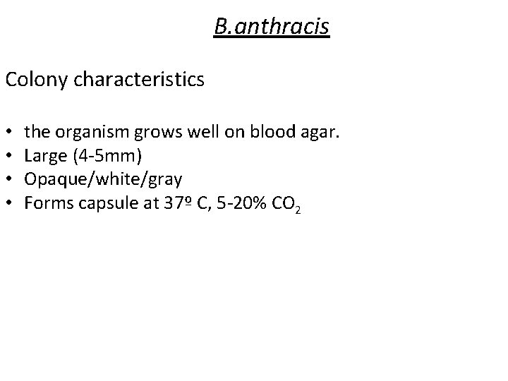 B. anthracis Colony characteristics • • the organism grows well on blood agar. Large