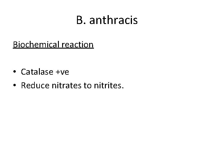 B. anthracis Biochemical reaction • Catalase +ve • Reduce nitrates to nitrites. 