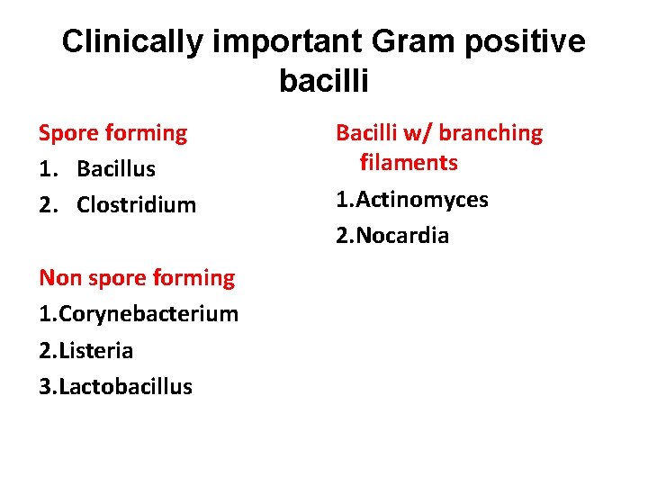 Clinically important Gram positive bacilli Spore forming 1. Bacillus 2. Clostridium Non spore forming