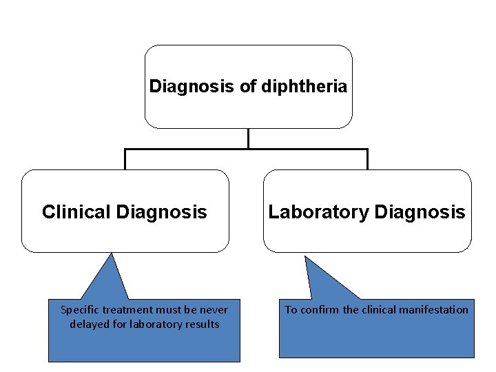 Diagnosis of diphtheria Clinical Diagnosis Specific treatment must be never delayed for laboratory results