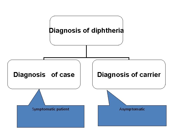 Diagnosis of diphtheria Diagnosis of case Symptomatic patient Diagnosis of carrier Asymptomatic 