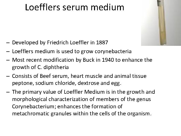 Loefflers serum medium – Developed by Friedrich Loeffler in 1887 – Loefflers medium is