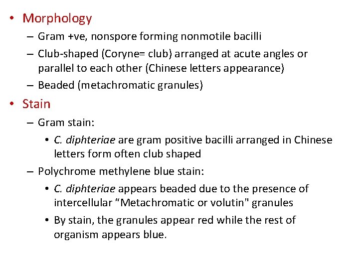  • Morphology – Gram +ve, nonspore forming nonmotile bacilli – Club-shaped (Coryne= club)