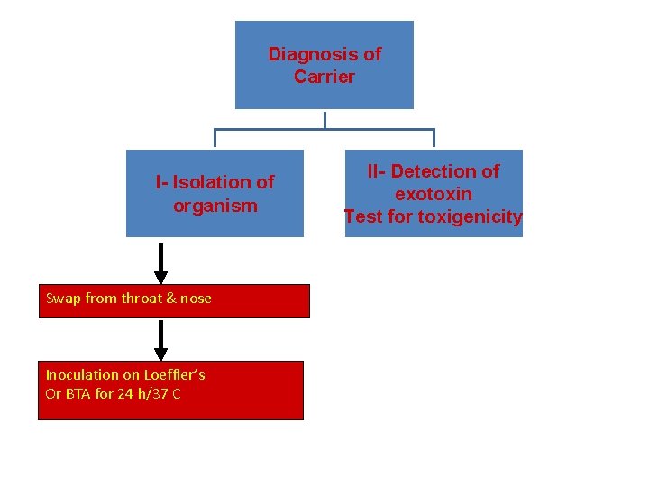 Diagnosis of Carrier I- Isolation of organism Swap from throat & nose Inoculation on