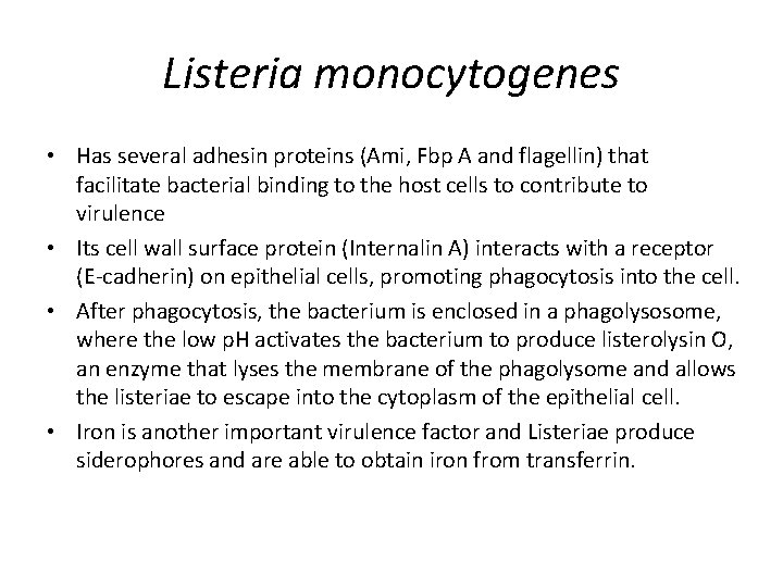 Listeria monocytogenes • Has several adhesin proteins (Ami, Fbp A and flagellin) that facilitate