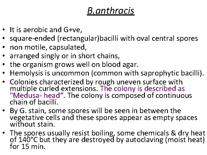 B. anthracis It is aerobic and G+ve, square-ended (rectangular)bacilli with oval central spores non