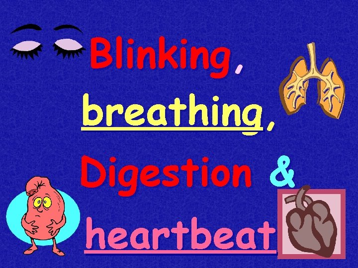 Blinking, breathing, Digestion & heartbeat 