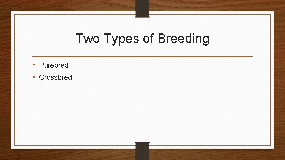 Two Types of Breeding • Purebred • Crossbred 