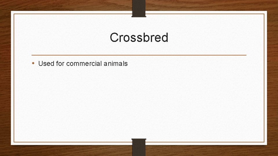 Crossbred • Used for commercial animals 