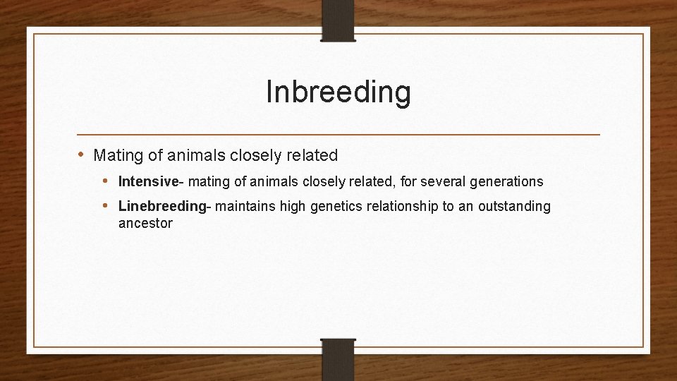 Inbreeding • Mating of animals closely related • Intensive- mating of animals closely related,