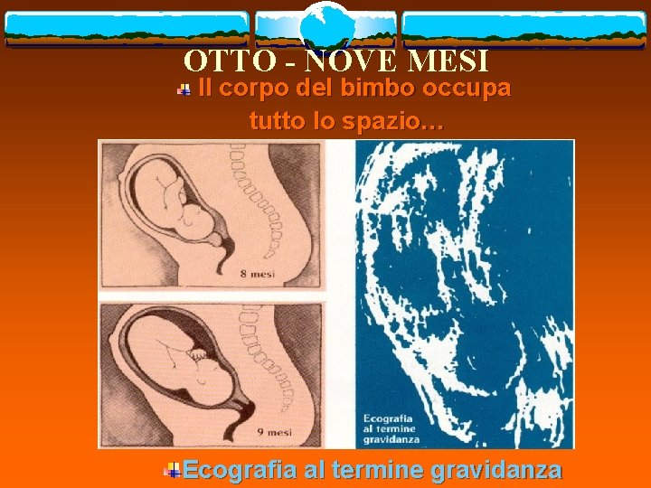 OTTO - NOVE MESI Il corpo del bimbo occupa tutto lo spazio… Ecografia al