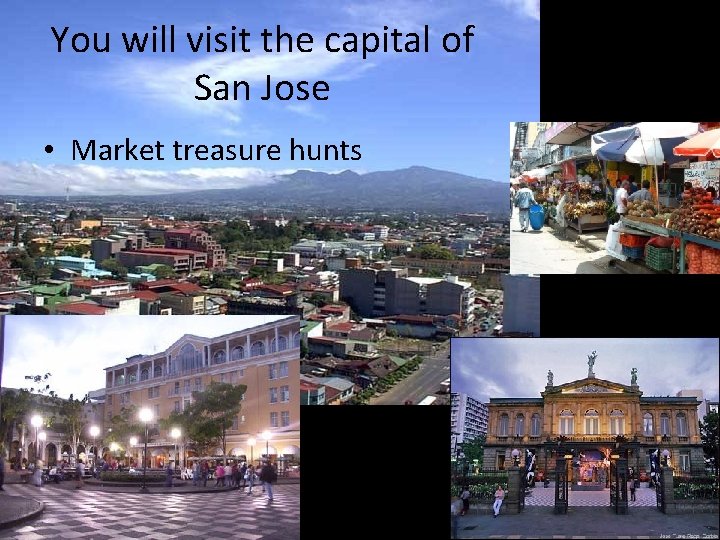 You will visit the capital of San Jose • Market treasure hunts 